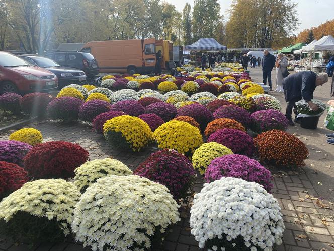 Tak wyglądają przygotowania do Wszystkich Świętych w Warszawie. Zobacz zdjęcia