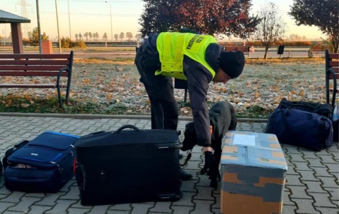 Kapsułki do prania na A4! Zdecydowanie nie prały. Zatrzymanie na autostradzie