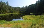 Wigierski Park Narodowy. To bezcenny obszar podlaskiej natury