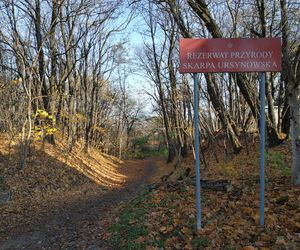 Spieszcie się odwiedzać Skarpę Ursynowską