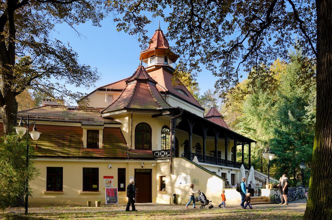 Dlaczego Podkowa Leśna to dobre miejsce do życia? Zobacz opis.