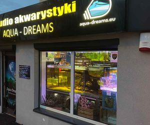 Studio Akwarystyki Aqua Dreams w Bydgoszczy to miejsce z wielką pasją