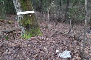 Dąbrowica. Ojciec i 3-letnia córka nie żyją. Zwłoki znaleziono w środku lasu
