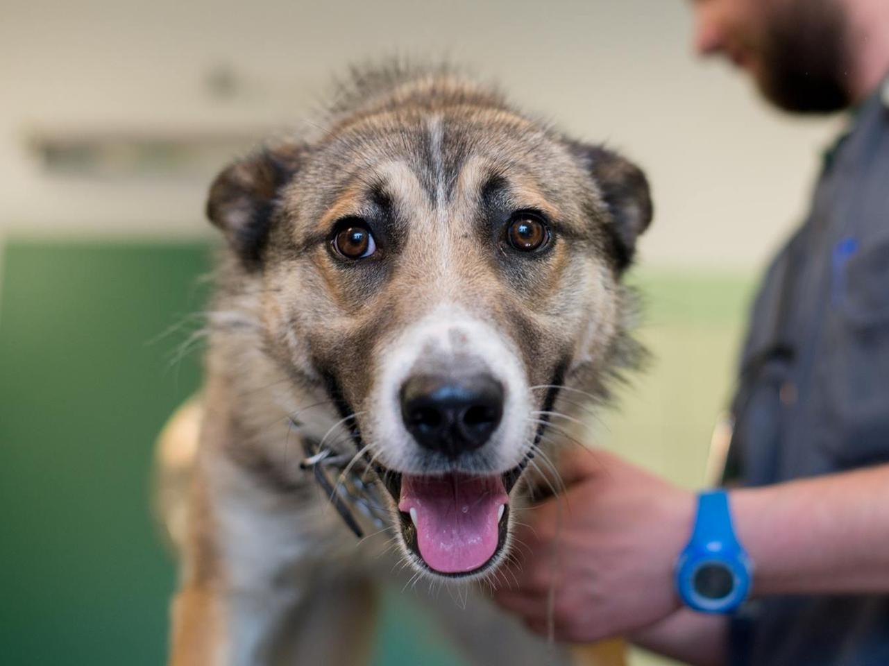 NOE STRACIŁ DOM PRZEZ WAKACJE.
