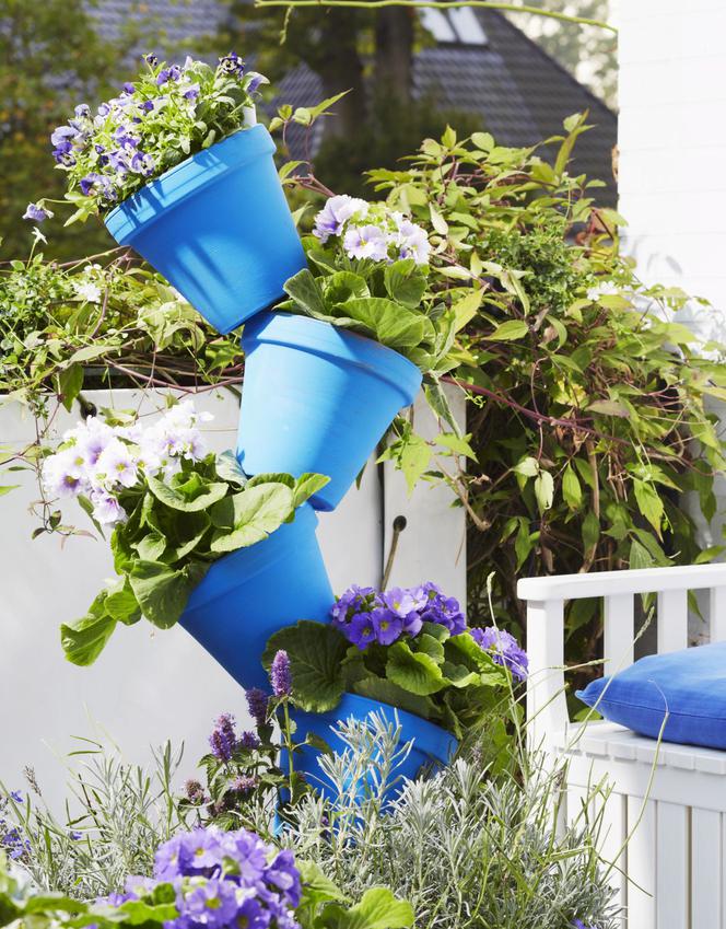 Kwiaty balkonowe w niebieskich doniczkach