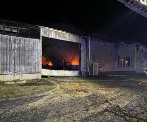 Wielki pożar hali pod Bełchatowem! Strażacy walczyli z żywiołem przez kilka godzin [ZDJĘCIA]