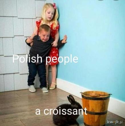 Krakowski lagun to prawdziwy FENOMEN! [MEMY]