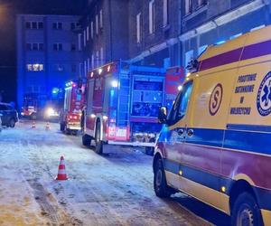 Wybuch pieca w kamienicy. Starsza pani zginęła ze swoimi kotami 