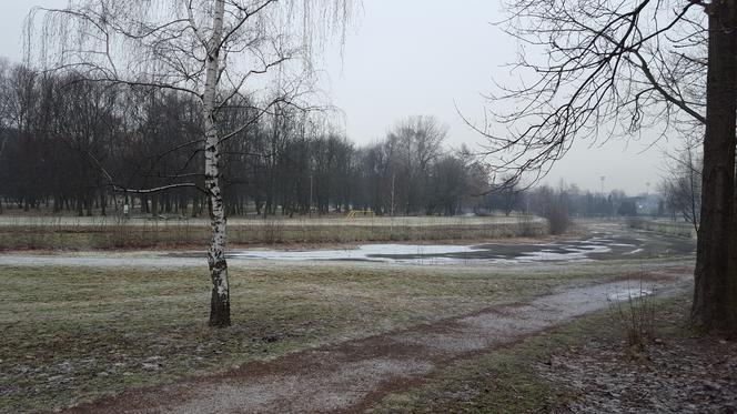 Park Grabek w Czeladzi