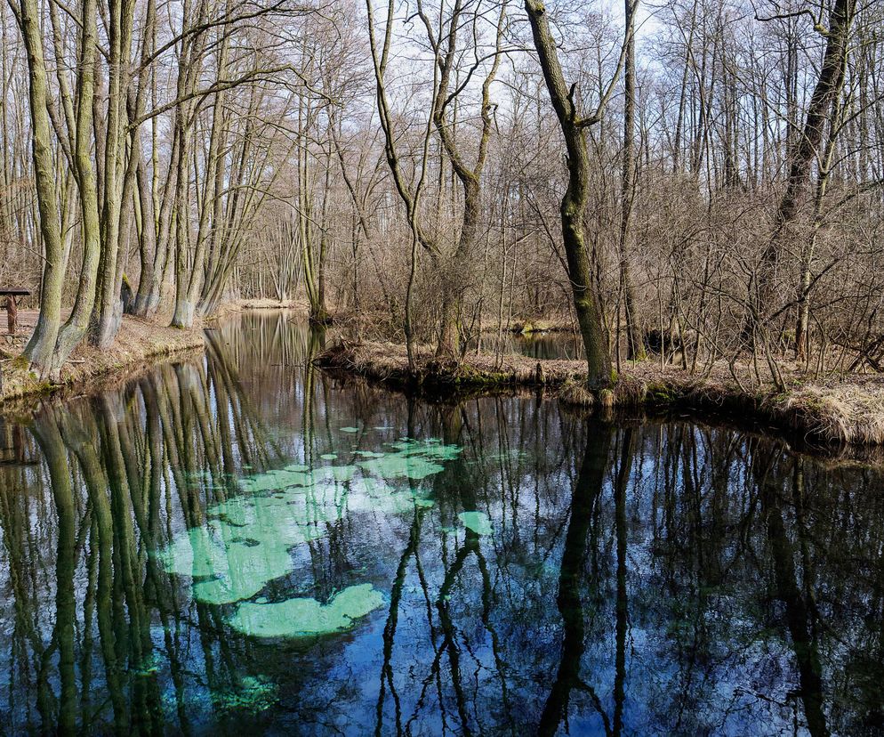 Idealne miejsce na jednodniowy wypad za miasto. Turkusowa woda jak na Malediwach