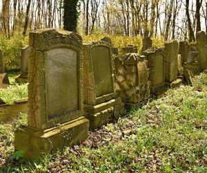 Cmentarz poewangelicki w Osiecznej 