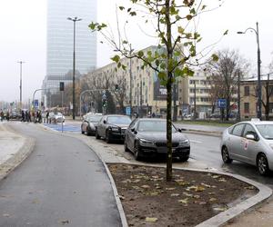 Zabrali miejsca parkingowe i zwęzili ulicę by zrobić ścieżkę rowerową. Biorą się za kolejne ulice