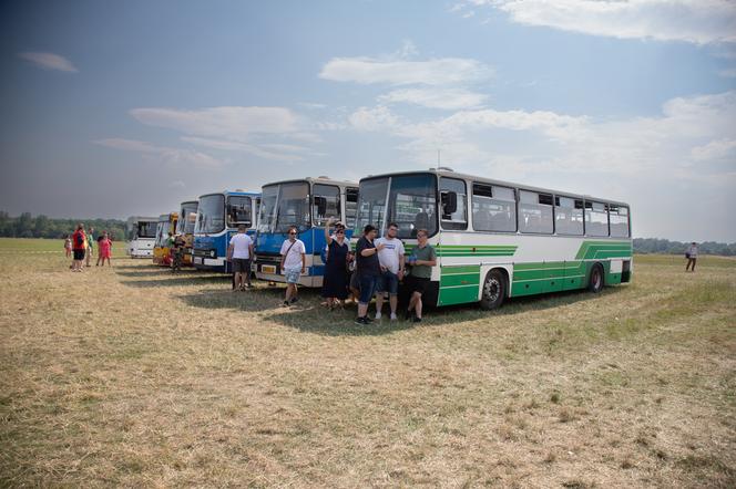 Zlot zabytkowych ikarusów w Katowicach