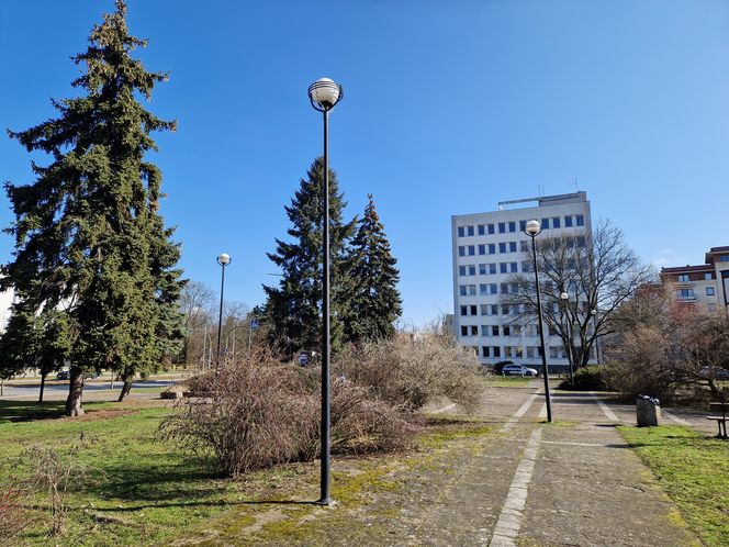 Najstarszy park miejski w Bydgoszczy zostanie odnowiony! Zmieni się nie do poznania