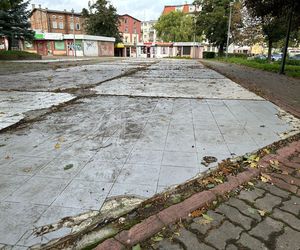 Nowe tereny zielone. Miasto zagospodaruje tereny „Przy czołgu”
