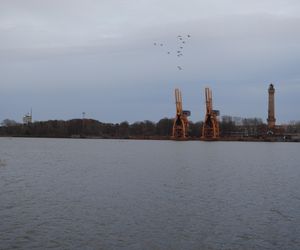 Port w Świnoujściu