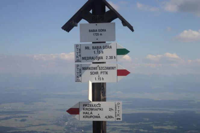 Idziesz w góry? Trzymaj się szlaków