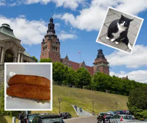 Alfabet po szczecińsku. Jesteś na to gotowy?