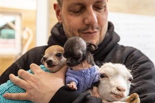 Zwierzęta przywdziały ciepłe swetry na jesień