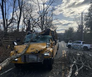 Drzewo runęło na szkolny autobus w New Jersey