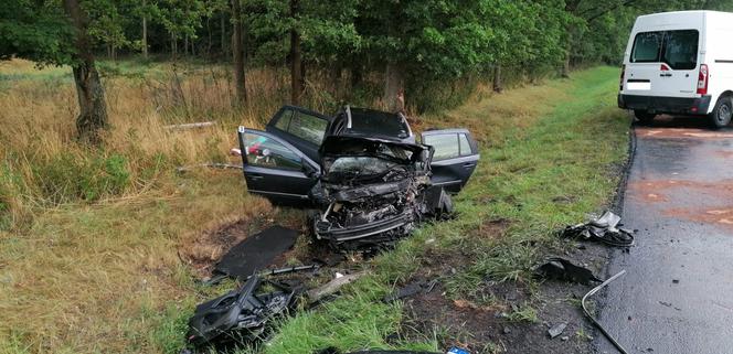 Siedem osób rannych, lądowały trzy śmigłowce. Wypadek pod Lesznem