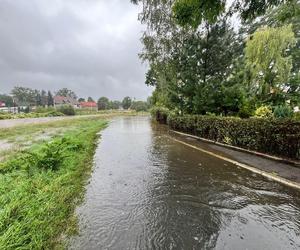 Jelenia Góra zalana. Pod wodą jest już 30 domostw, wiele dróg jest nieprzejezdnych 