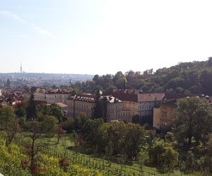 Praga w Czechach