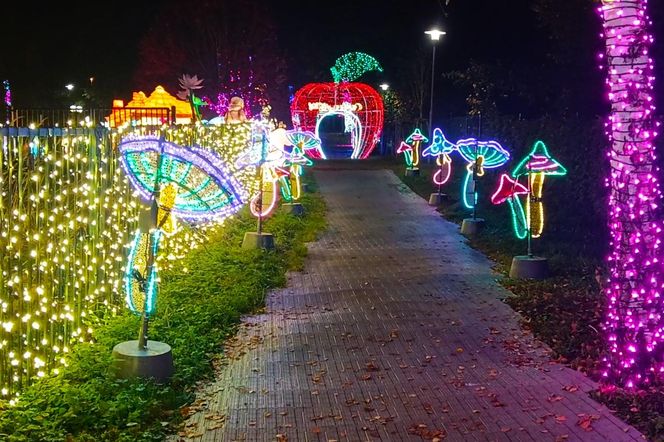 Garden of Lights w Szczecinie