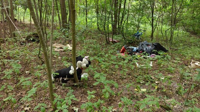 Zgroza w lesie pod Świeciem! Martwy pies w worku foliowym ze związanymi łapami. Policja szuka sprawcy bestialskiego czynu