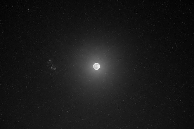 11 listopada w gwiazdach. Co zgotował Ci zodiak w to święto?