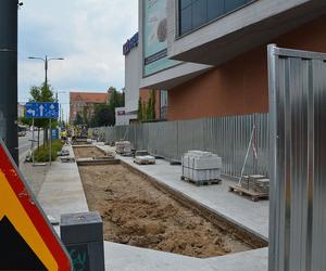 Nowe nasadzenia drzew w centrum Olsztyna