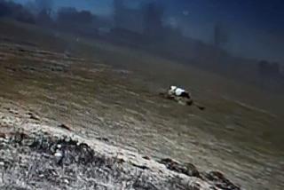 Burek zagryzł mu mamę