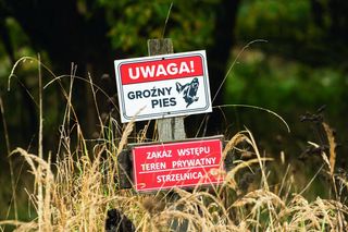 Dobry, serdeczny. Puławy pogrążone w żałobie. W poniedziałek pogrzeb pana Marcina, którego zagryzły psy