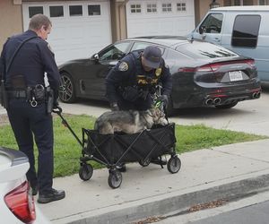 Katastrofa lotnicza w USA. W San Diego rozbił się prywatny samolot. Są ofiary śmiertelne