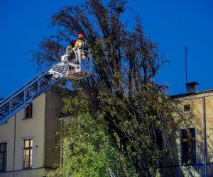 Polska pod naporem wichur! Strażacy nie mieli chwili wytchnienia