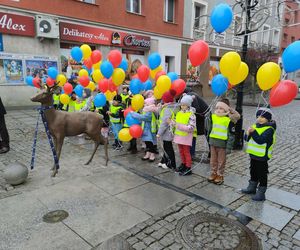 Jelonek stanął przy fontannie na ul. Długiej! Nowa atrakcja turystyczna Łomży poleca się do robienia zdjęć