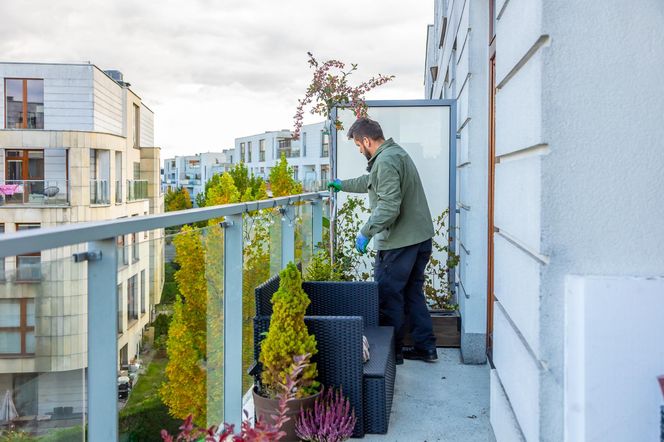 Jesienna metamorfoza balkonu