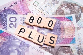 Wniosek o 800 plus. Kiedy składać? ZUS dał zielone światło! Pieniądze czekają