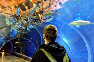 ZOO we Wrocławiu podnosi ceny biletów. Powodem wyższe rachunki za prąd, wodę i ogrzewanie 