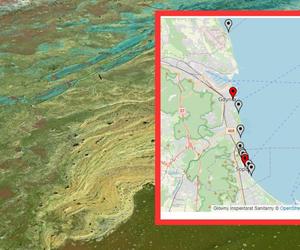Sinice pojawiły się w Bałtyku! Sanepid zamyka nadmorskie kąpieliska