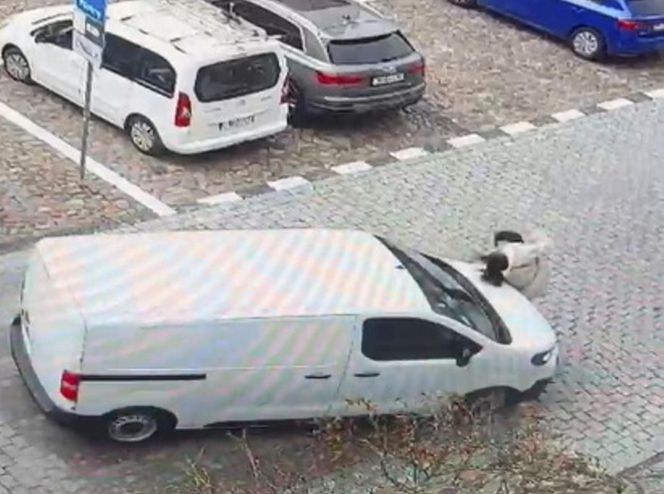 Namysłów. Ciężarna kobieta potrącona na przejściu dla pieszych. Wypadek zarejestrowała kamera [ZDJĘCIA]