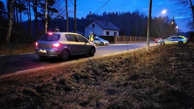 Akcja Trzeźwy Kierujący w Grudziądzu