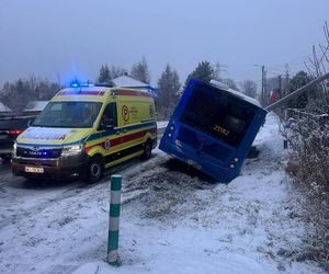 Pasażerowie przeżyli prawdziwe chwile grozy. Autobus zjechał do rowu i uderzył w słup!