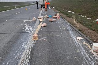 Siódemka jak wielki kebab. Rozrzucone mięso na S7 po wypadku chłodni