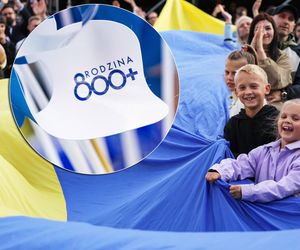 Ilu Ukraińców pobiera 800 plus?