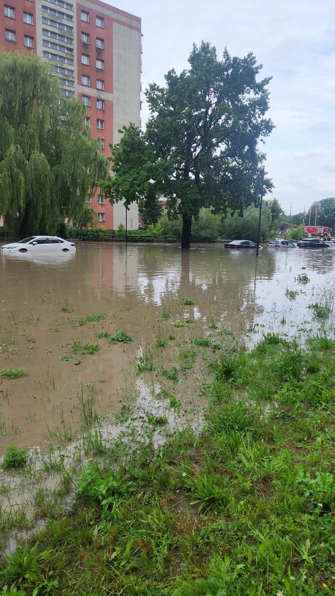 W Elblągu wylała rzeka. Wprowadzono stan pogotowia przeciwpowodziowego. „Każdy z nas się boi”