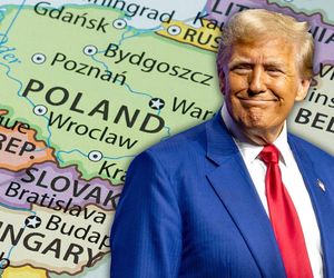 Stosunki polsko-amerykańskie. Spadek pozytywnych ocen i rosnące obawy związane z prezydenturą Donalda Trumpa