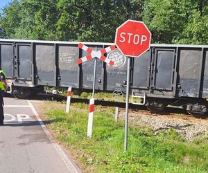 Tragedia na przejeździe kolejowym w woj. lubelskim. Nie żyje 40-letnia obywatelka Ukrainy