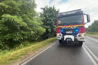 Śmiertelny wypadek pod Kołobrzegiem. Kierowca osobówki uderzył w drzewo