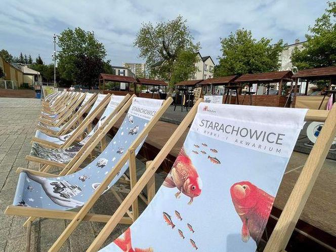 POTAŃCÓWKA NA RYNKU. Tak bawią się mieszkańcy Starachowic 06.2024